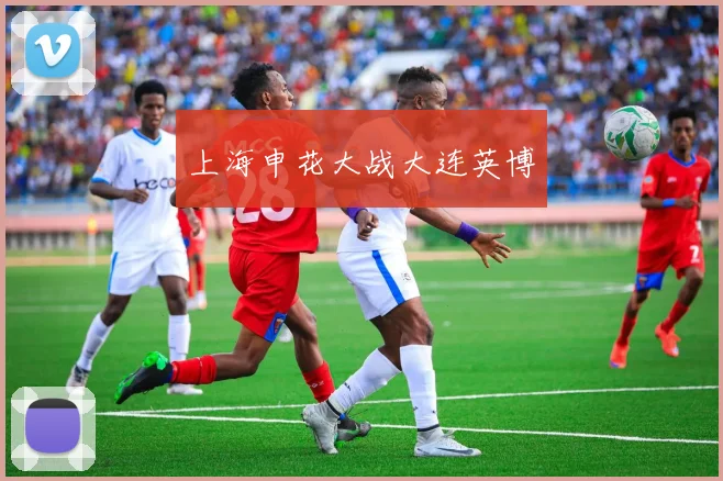 上海申花大战大连英博