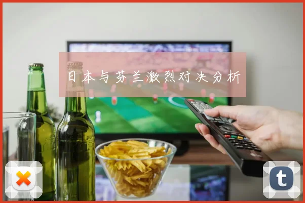 日本与芬兰激烈对决分析