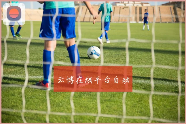 云博在线平台自动