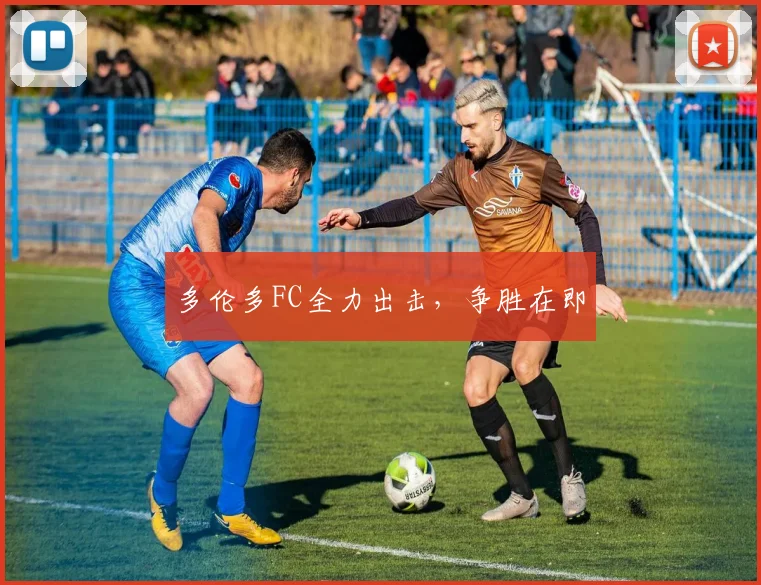 多伦多FC全力出击,争胜在即