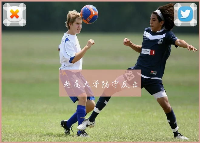 老虎大学防守反击
