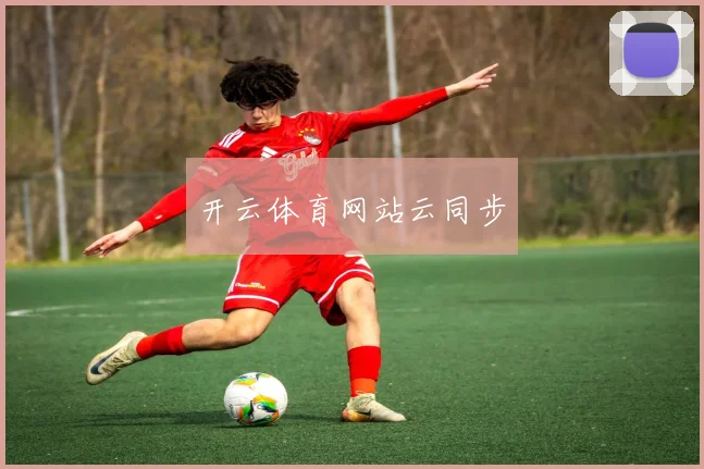 开云体育网站云同步