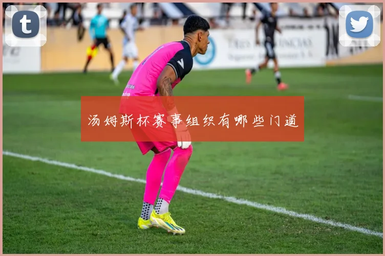汤姆斯杯赛事组织有哪些门道