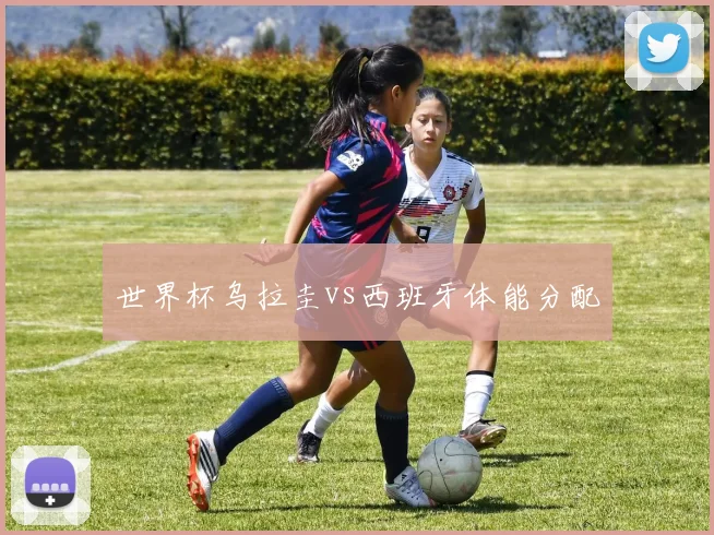 世界杯乌拉圭vs西班牙体能分配