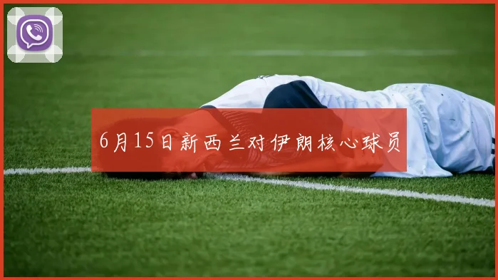 6月15日新西兰对伊朗核心球员